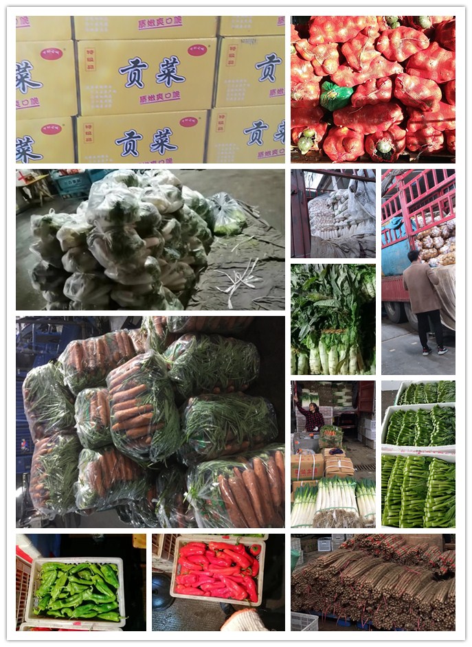 J9旗舰厅(中国区)官方网站