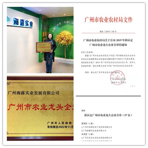 J9旗舰厅(中国区)官方网站