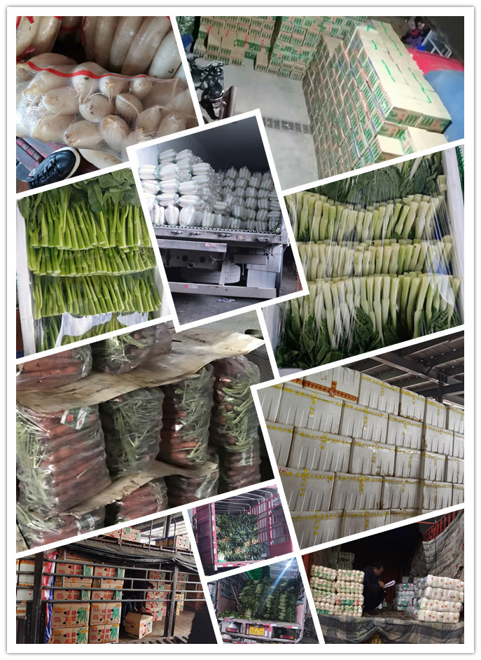 J9旗舰厅(中国区)官方网站