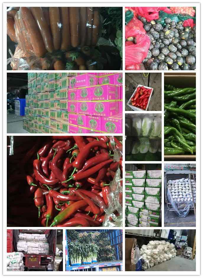 J9旗舰厅(中国区)官方网站