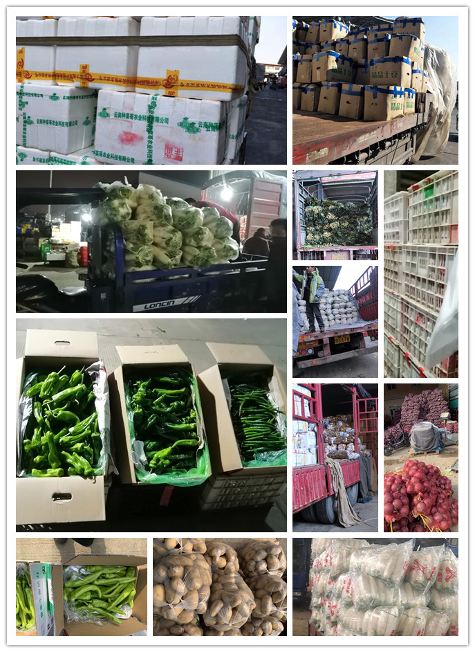 J9旗舰厅(中国区)官方网站