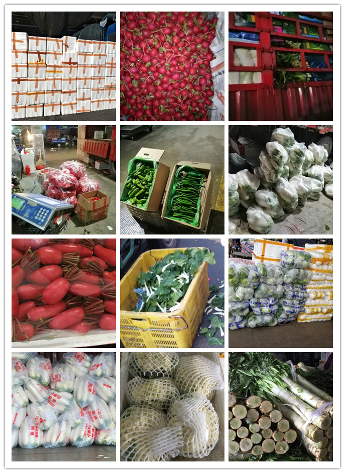 J9旗舰厅(中国区)官方网站