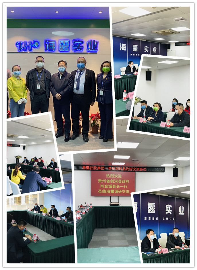 J9旗舰厅(中国区)官方网站