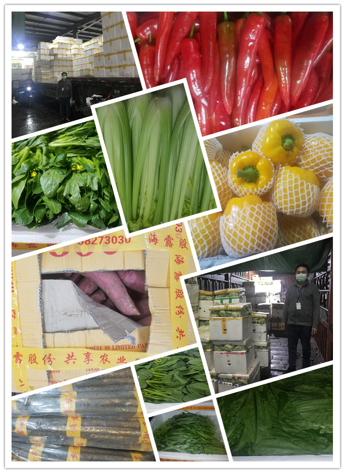 J9旗舰厅(中国区)官方网站