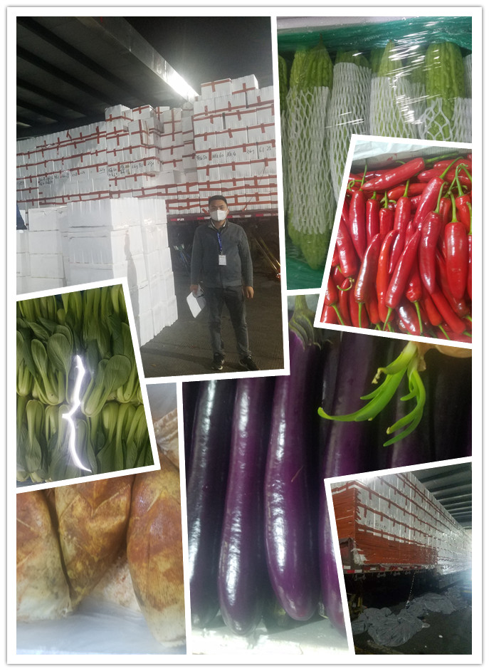 J9旗舰厅(中国区)官方网站