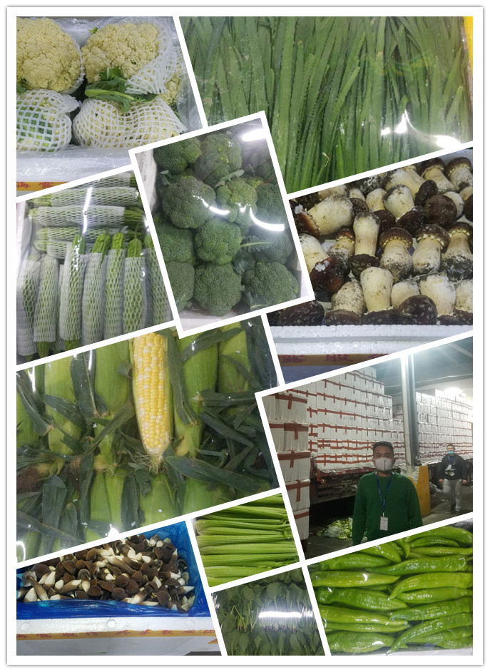 J9旗舰厅(中国区)官方网站