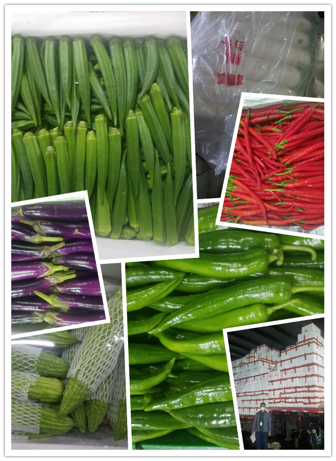 J9旗舰厅(中国区)官方网站