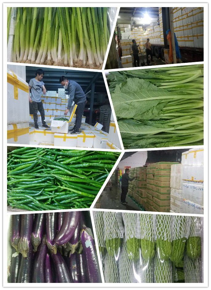 J9旗舰厅(中国区)官方网站