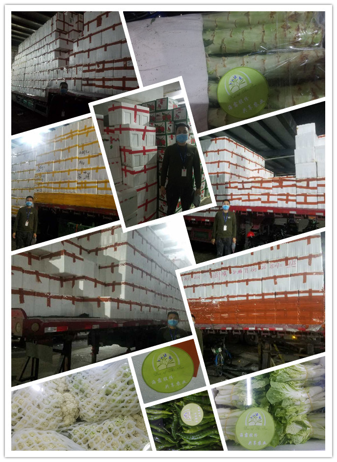 J9旗舰厅(中国区)官方网站