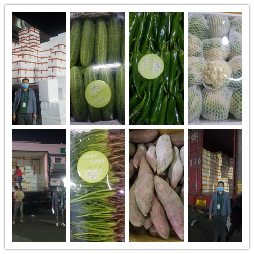 J9旗舰厅(中国区)官方网站