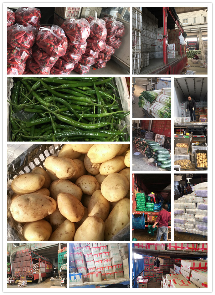 J9旗舰厅(中国区)官方网站