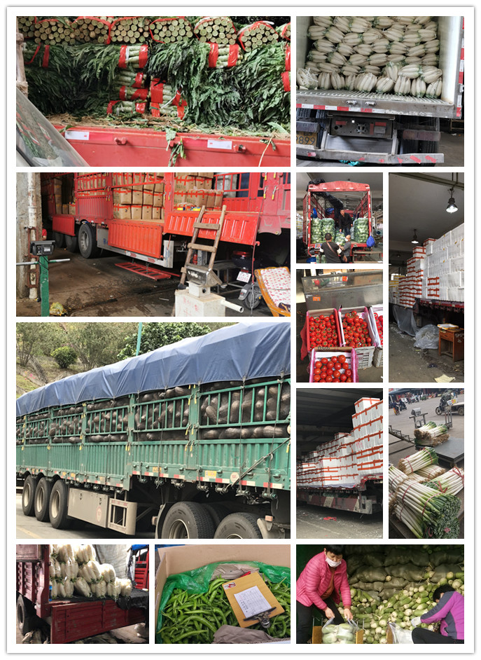 J9旗舰厅(中国区)官方网站