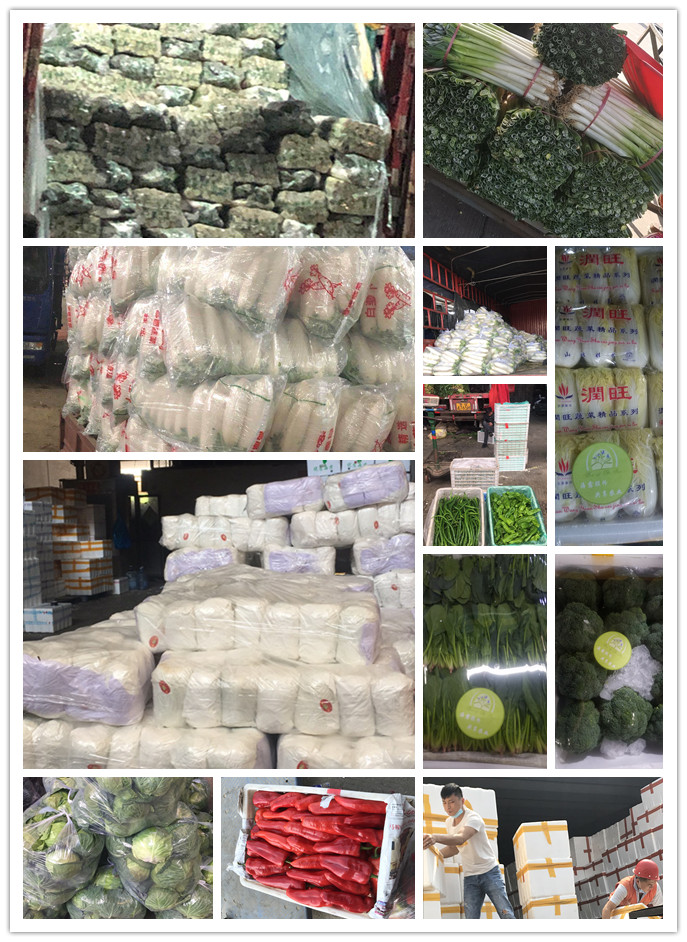 J9旗舰厅(中国区)官方网站