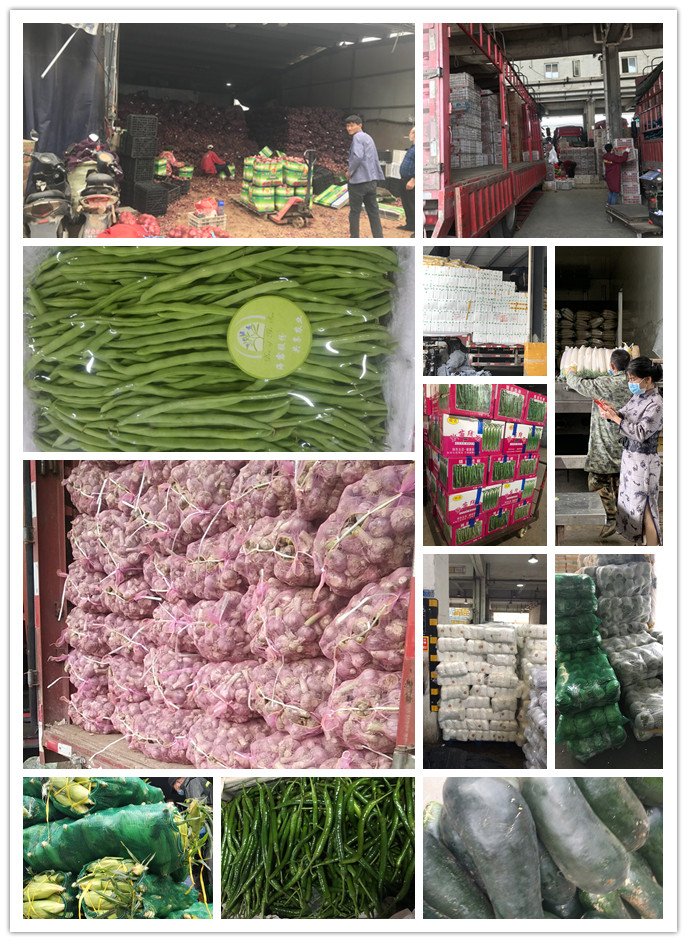 J9旗舰厅(中国区)官方网站