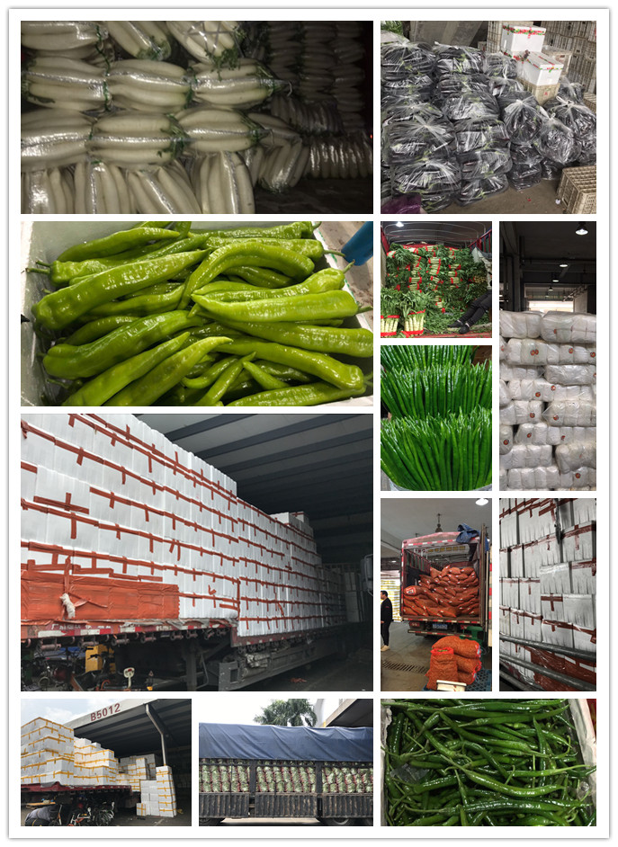 J9旗舰厅(中国区)官方网站