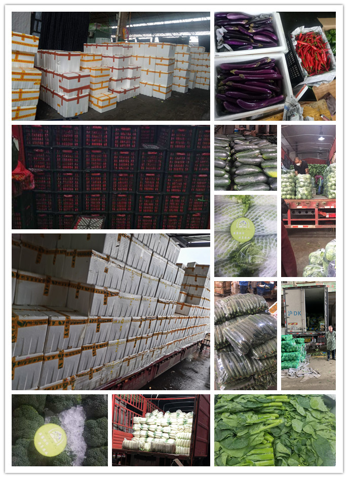 J9旗舰厅(中国区)官方网站