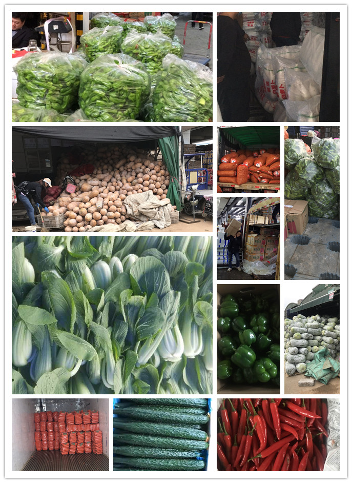 J9旗舰厅(中国区)官方网站