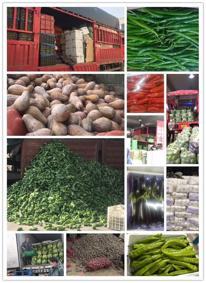 J9旗舰厅(中国区)官方网站