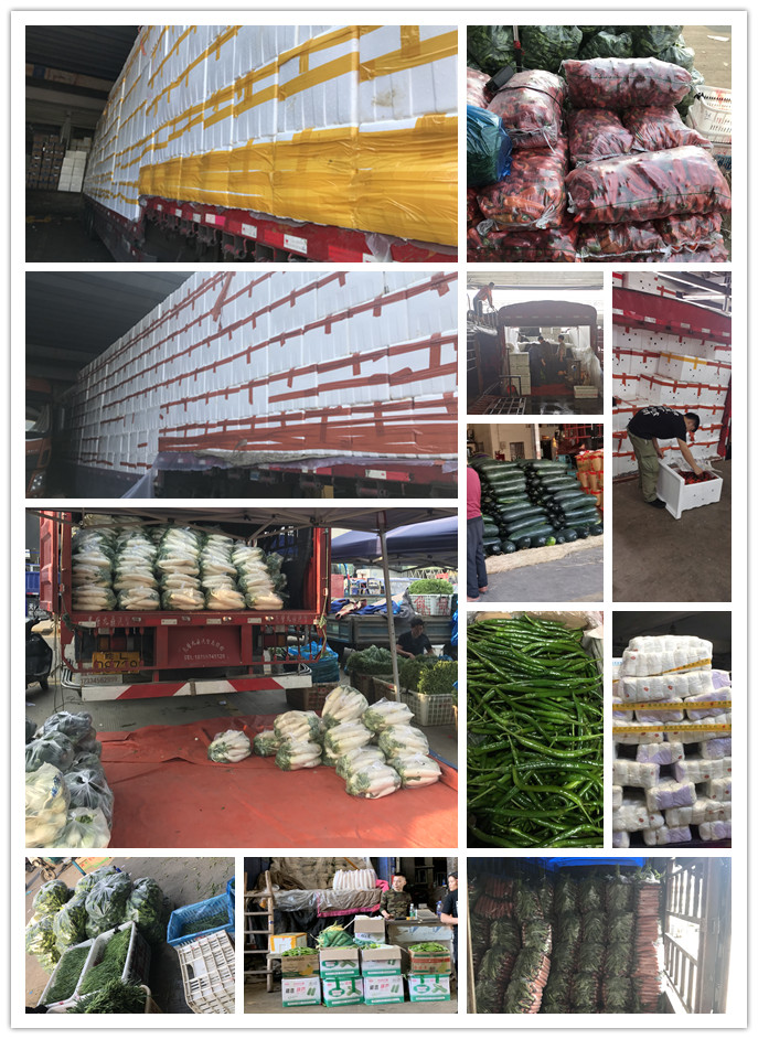 J9旗舰厅(中国区)官方网站