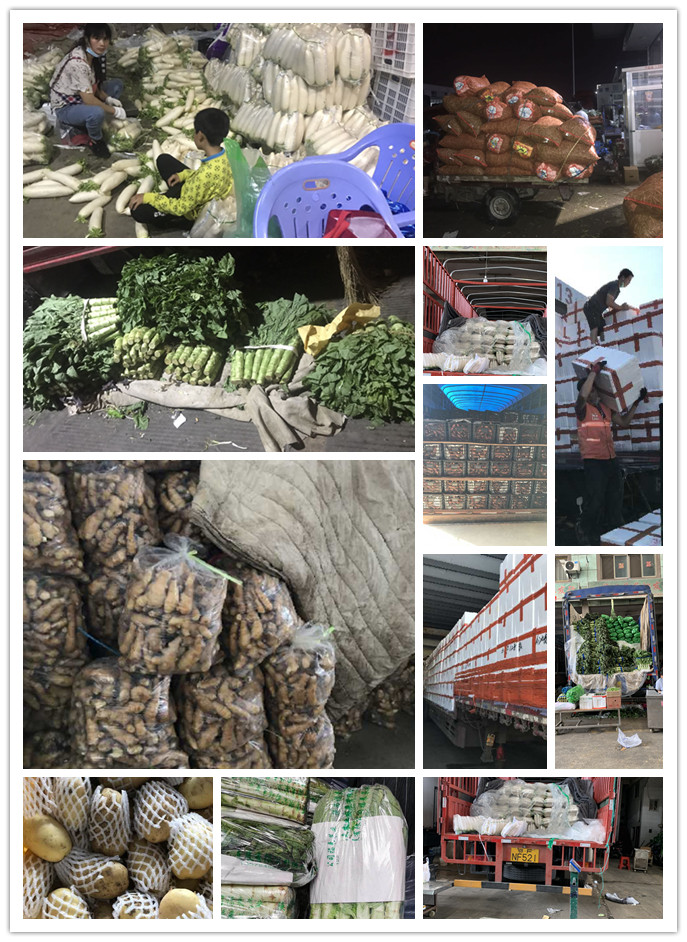 J9旗舰厅(中国区)官方网站