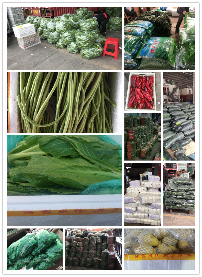 J9旗舰厅(中国区)官方网站