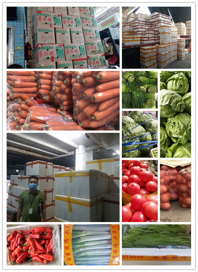 J9旗舰厅(中国区)官方网站