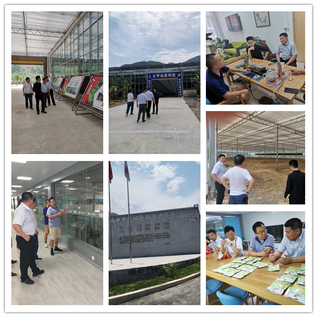 J9旗舰厅(中国区)官方网站