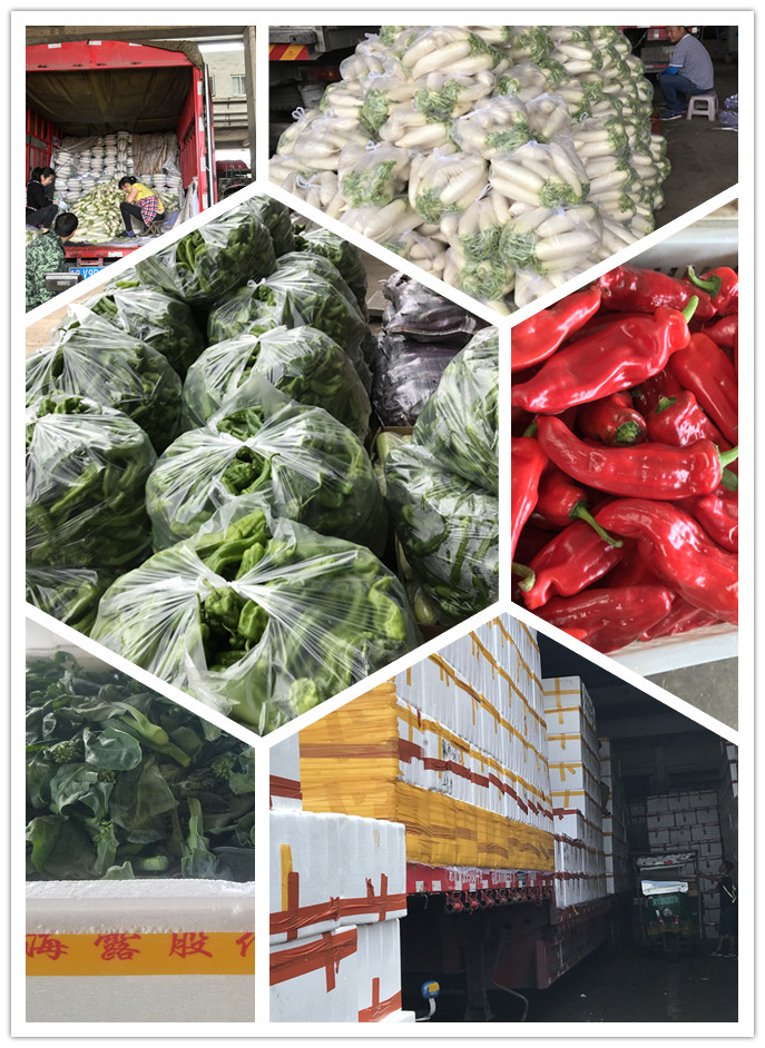 J9旗舰厅(中国区)官方网站