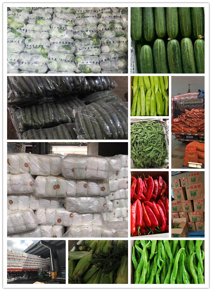 J9旗舰厅(中国区)官方网站