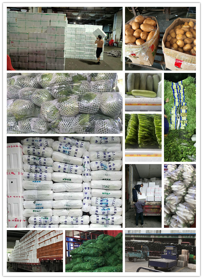 J9旗舰厅(中国区)官方网站