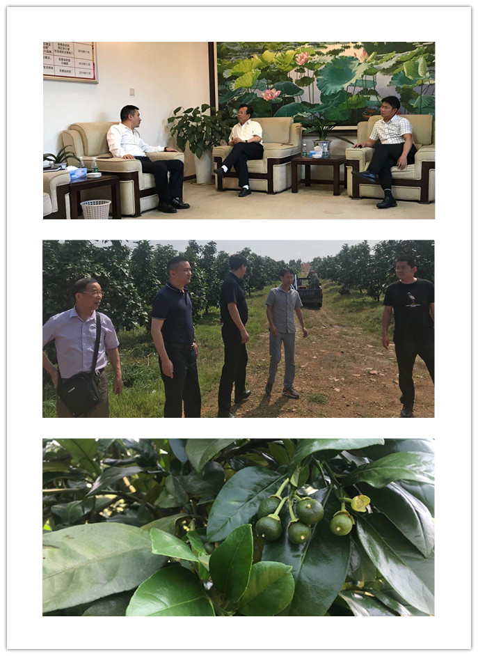 J9旗舰厅(中国区)官方网站