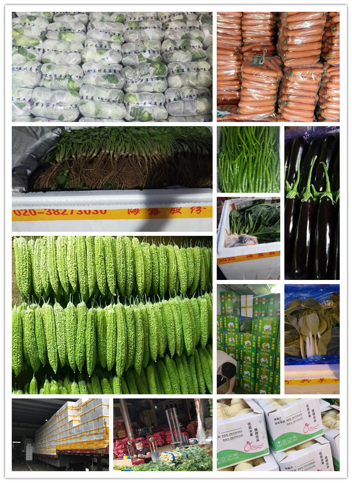 J9旗舰厅(中国区)官方网站