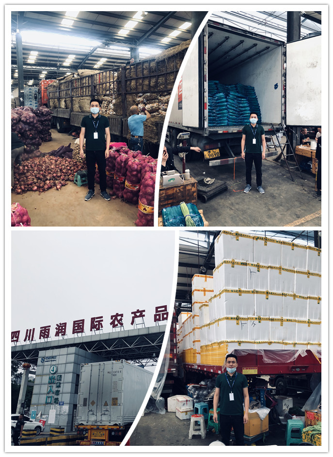 J9旗舰厅(中国区)官方网站