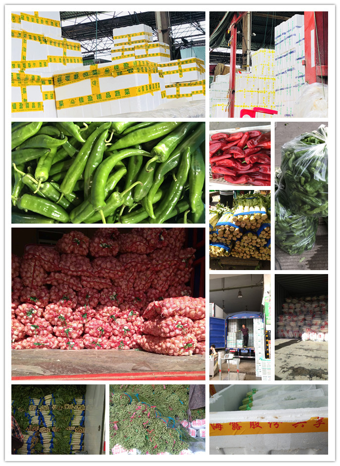 J9旗舰厅(中国区)官方网站