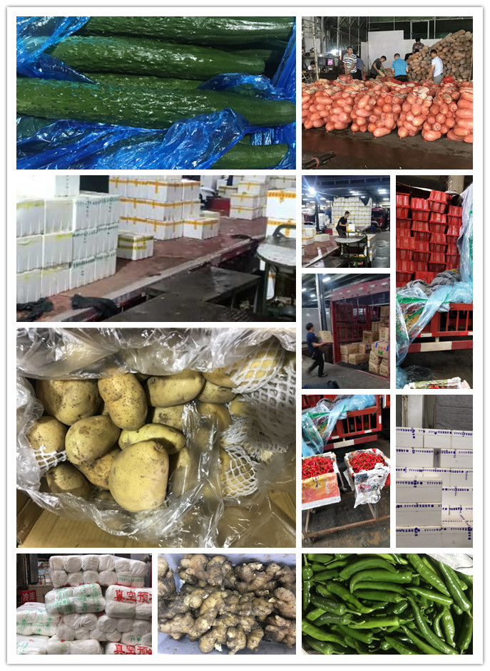 J9旗舰厅(中国区)官方网站