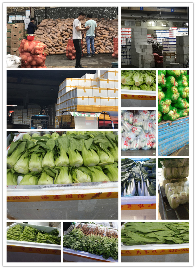 J9旗舰厅(中国区)官方网站