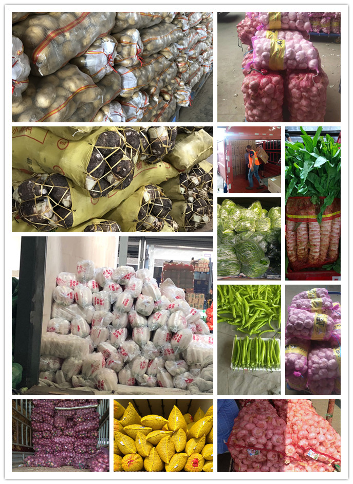 J9旗舰厅(中国区)官方网站