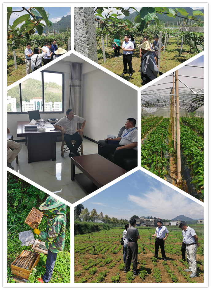 J9旗舰厅(中国区)官方网站