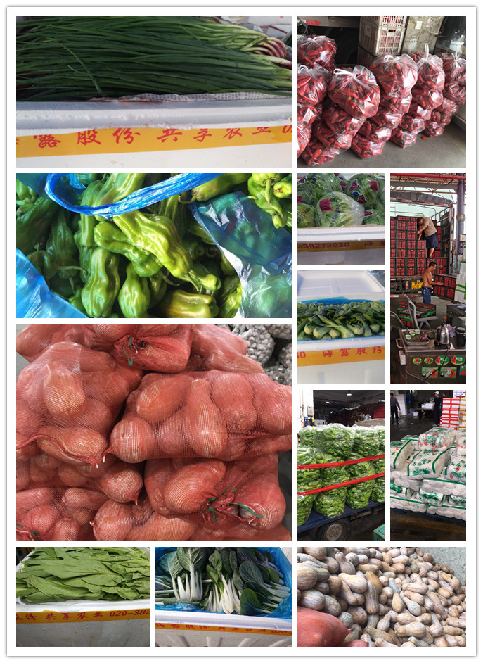 J9旗舰厅(中国区)官方网站