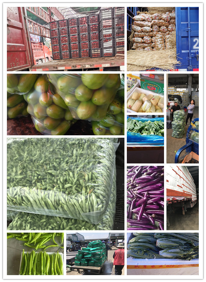 J9旗舰厅(中国区)官方网站