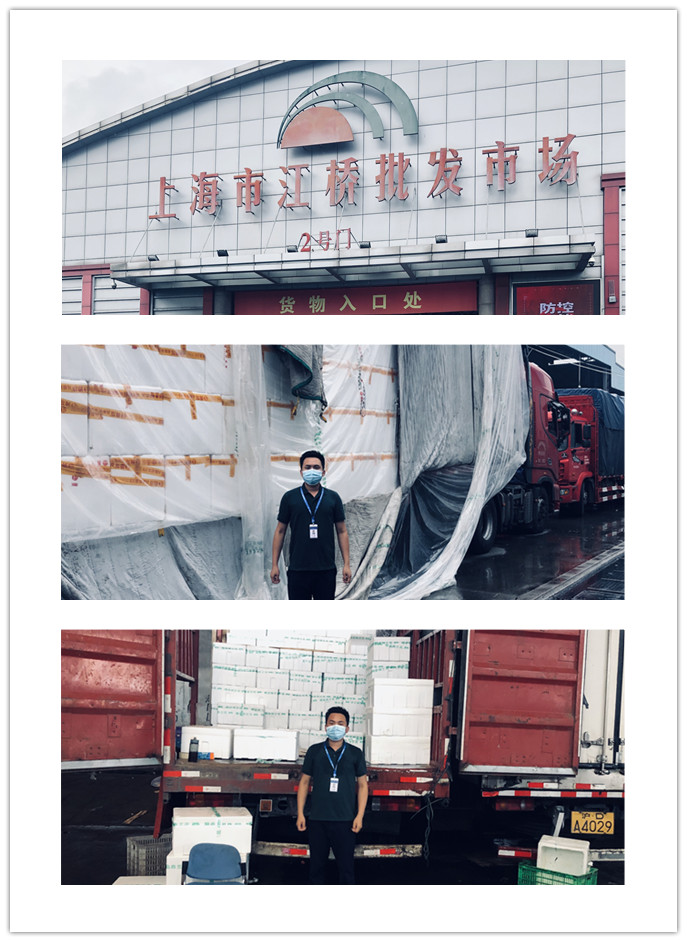 J9旗舰厅(中国区)官方网站