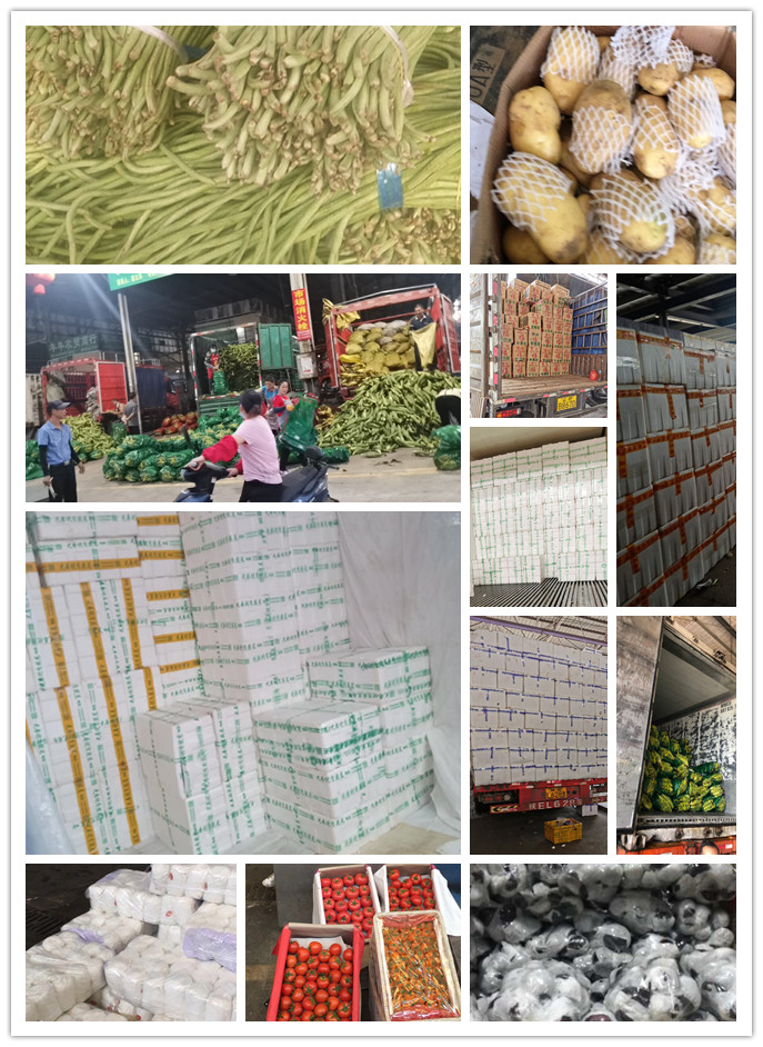 J9旗舰厅(中国区)官方网站