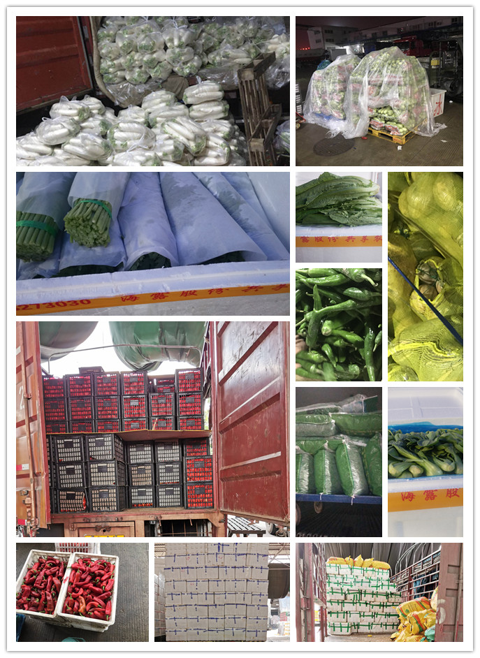 J9旗舰厅(中国区)官方网站