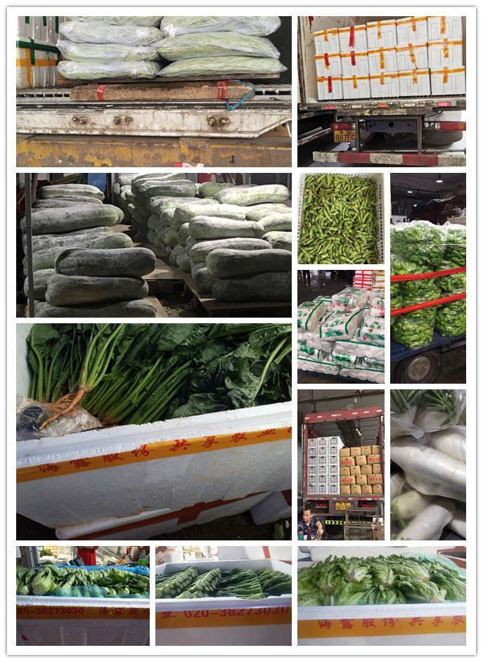 J9旗舰厅(中国区)官方网站