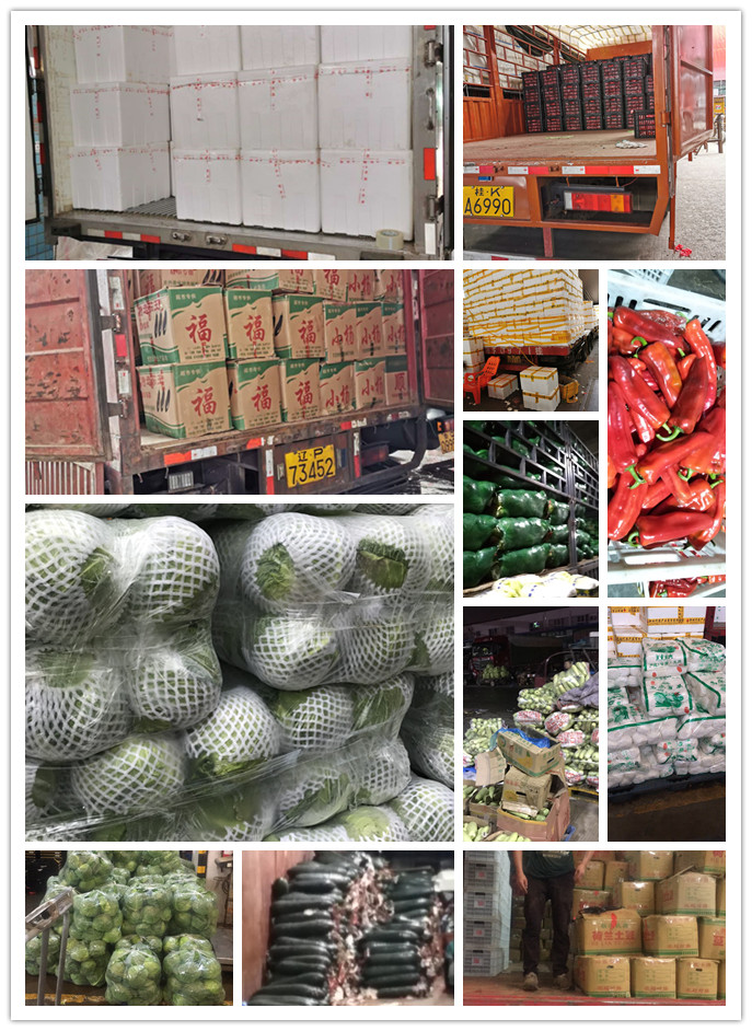 J9旗舰厅(中国区)官方网站