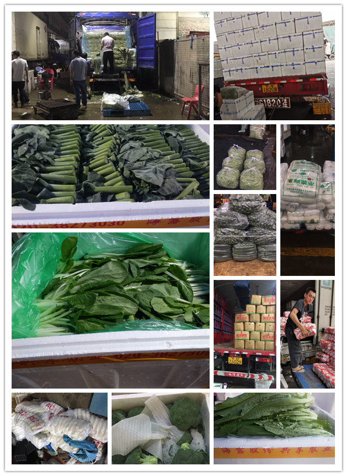 J9旗舰厅(中国区)官方网站