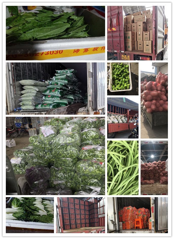 J9旗舰厅(中国区)官方网站