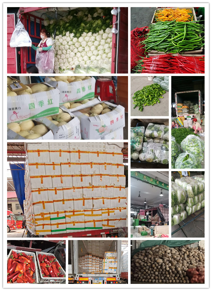 J9旗舰厅(中国区)官方网站