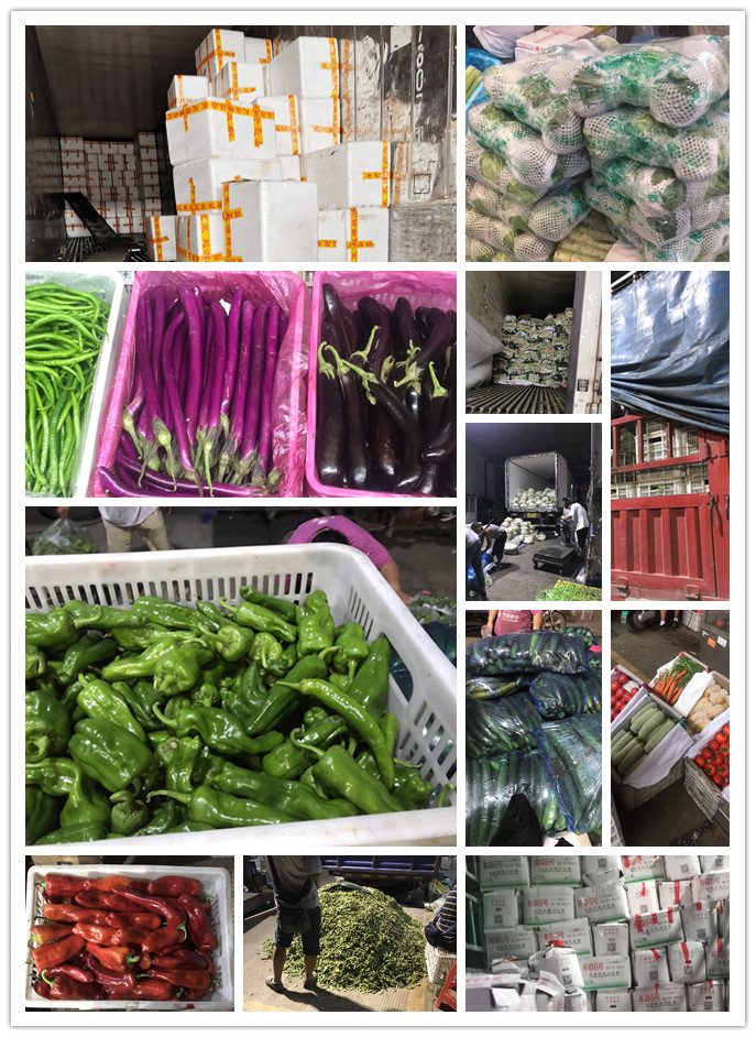 J9旗舰厅(中国区)官方网站