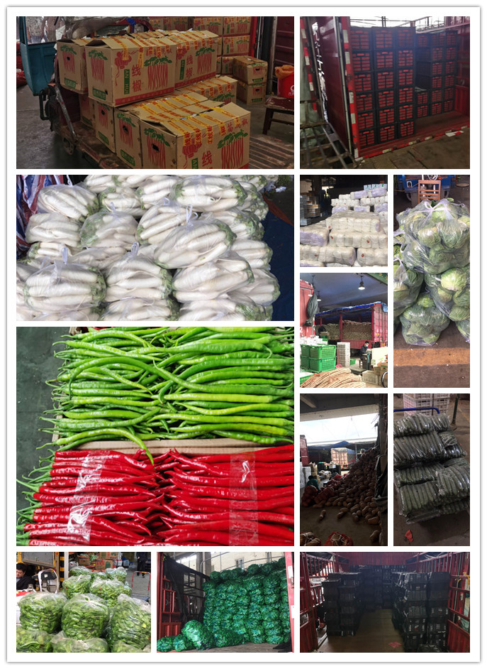 J9旗舰厅(中国区)官方网站